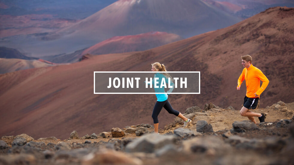 MSM for Joint Health