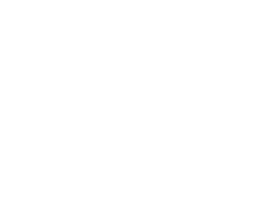 MSM Made in the USA