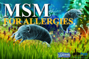 MSM for Allergies